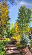 Vail Colorado in Autumn