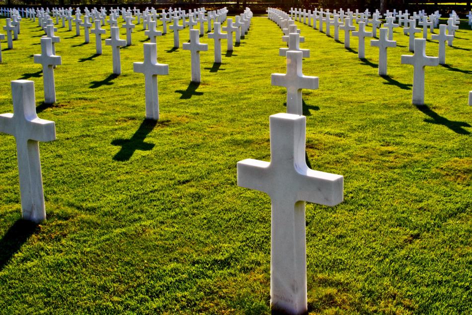 Military crosses on the green grass