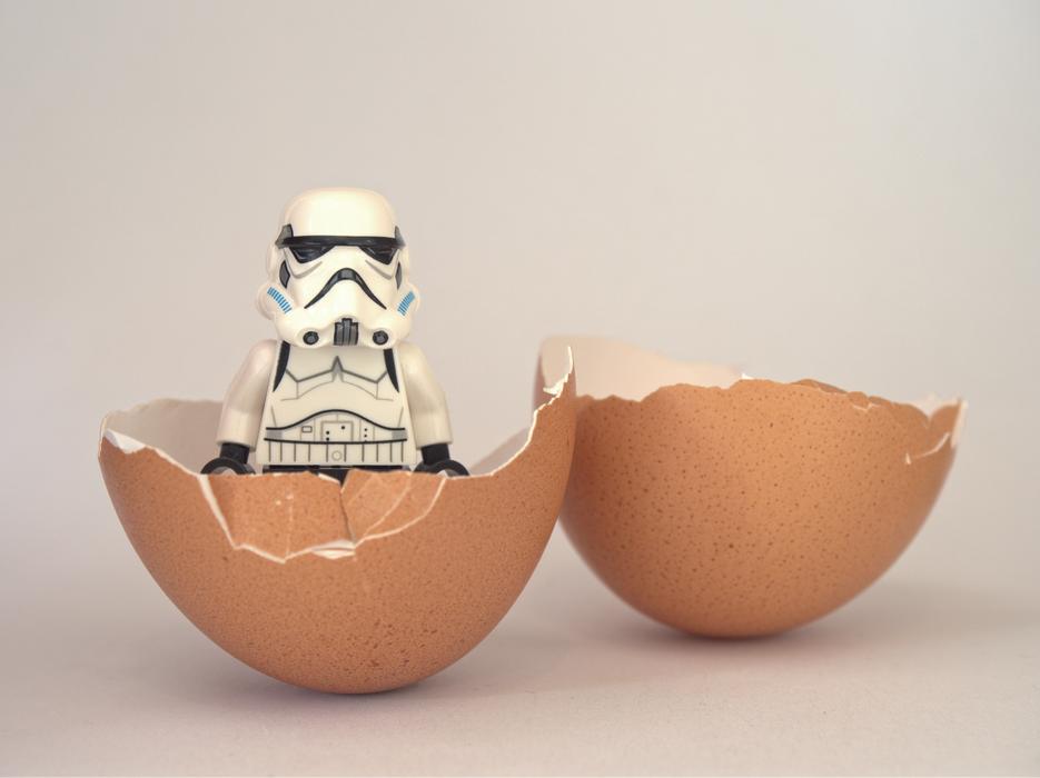toy in a shell