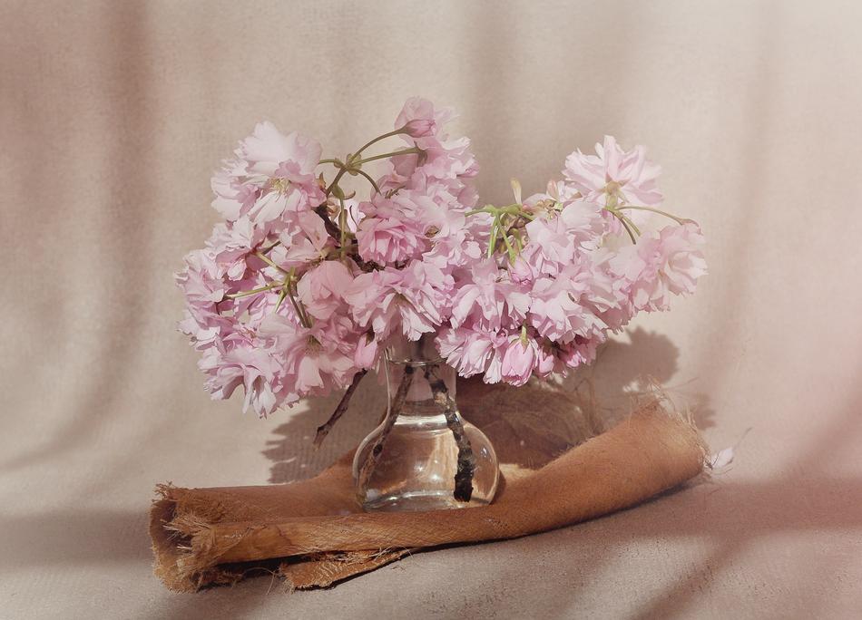 cozy corner with flowers in a vase