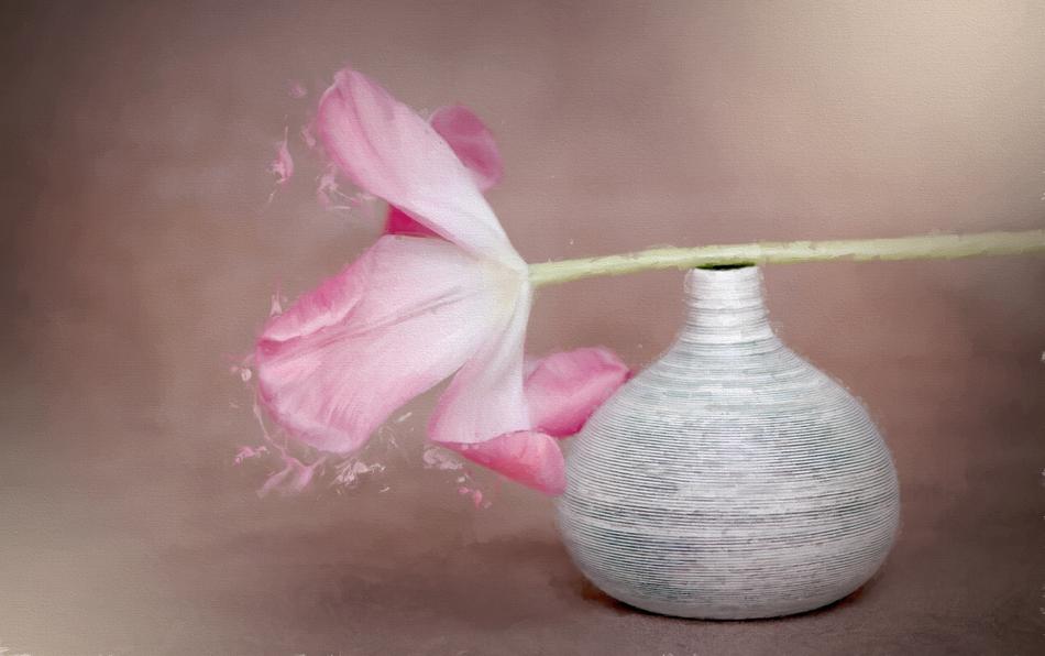 Image Painting Flower