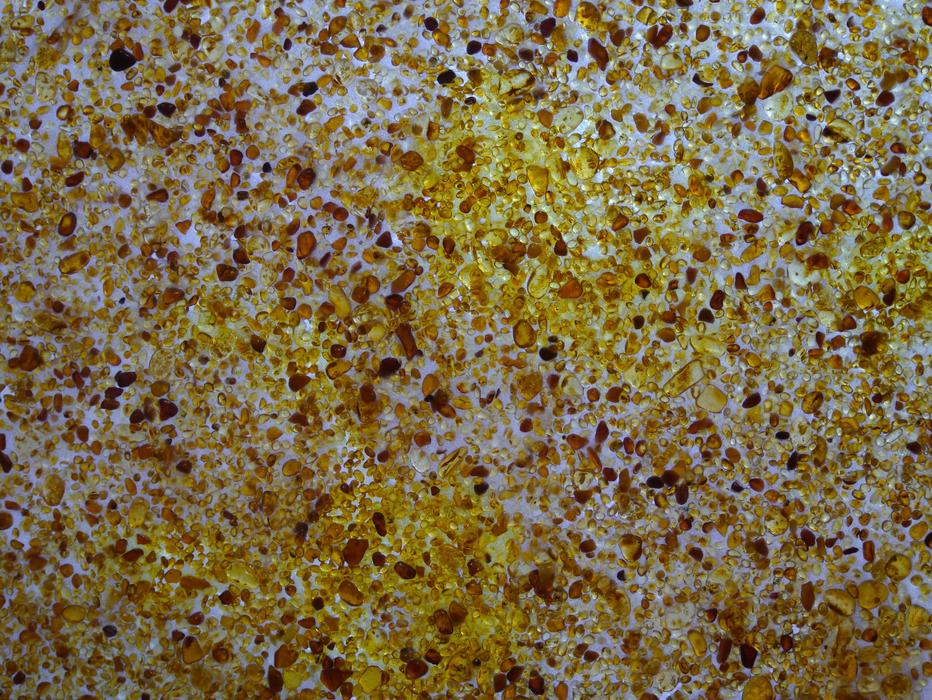 Amber Museum Kuji Iwate
