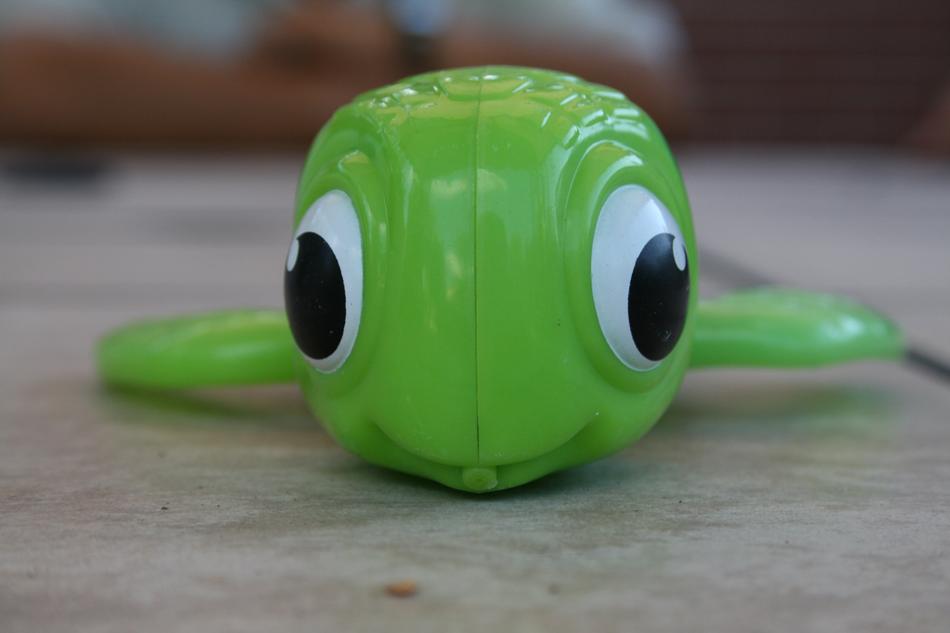 plastic turtle toy