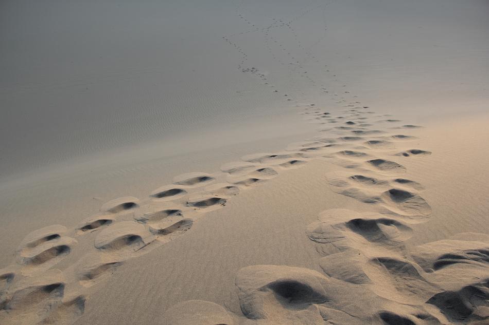 deep footprints on the hot sand in the desert