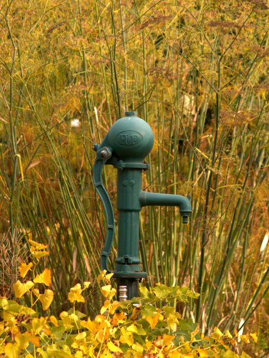 Autumn Water Pump