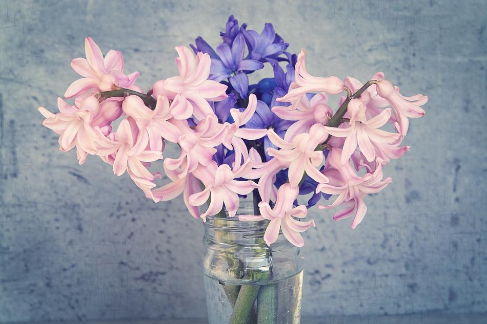 beautiful flowers drawing