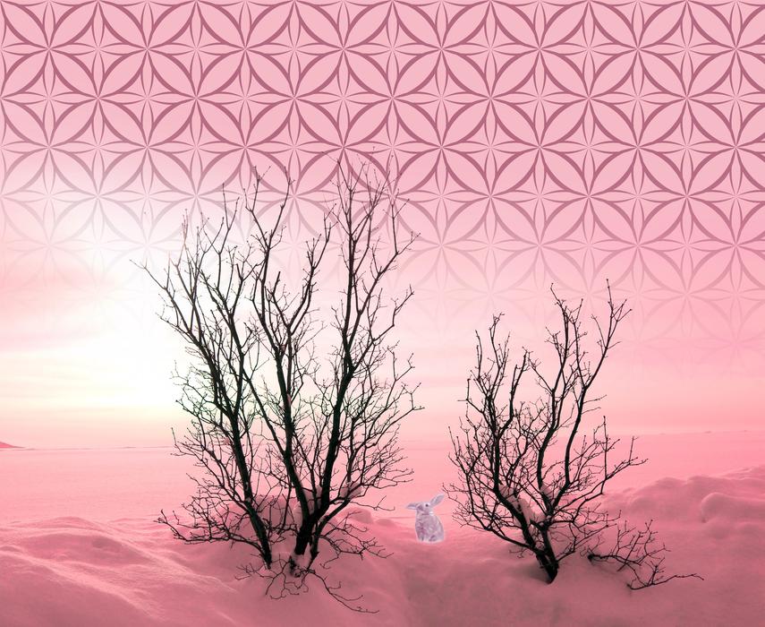 small trees on a pink background