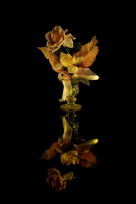 Flowers Rosa Yellow