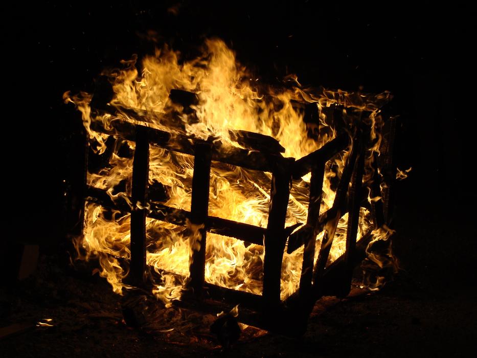Box Wood Fire