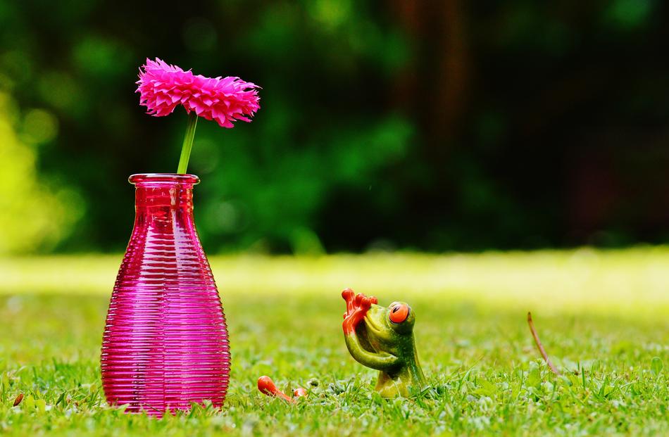 Vase Flower Frog