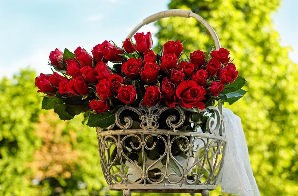 Roses Bouquet Of Blossom