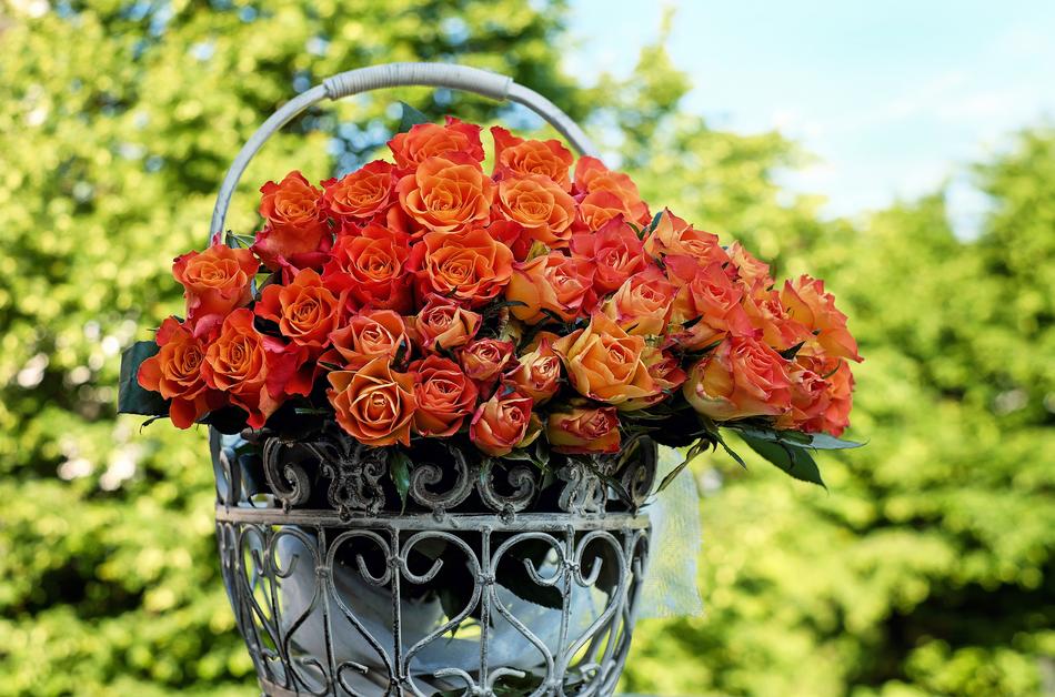 Roses Bouquet Of Blossom