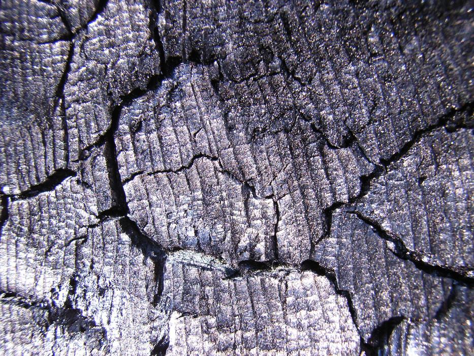 Wood Immerse yourself in the raw beauty of carbon charcoal wood