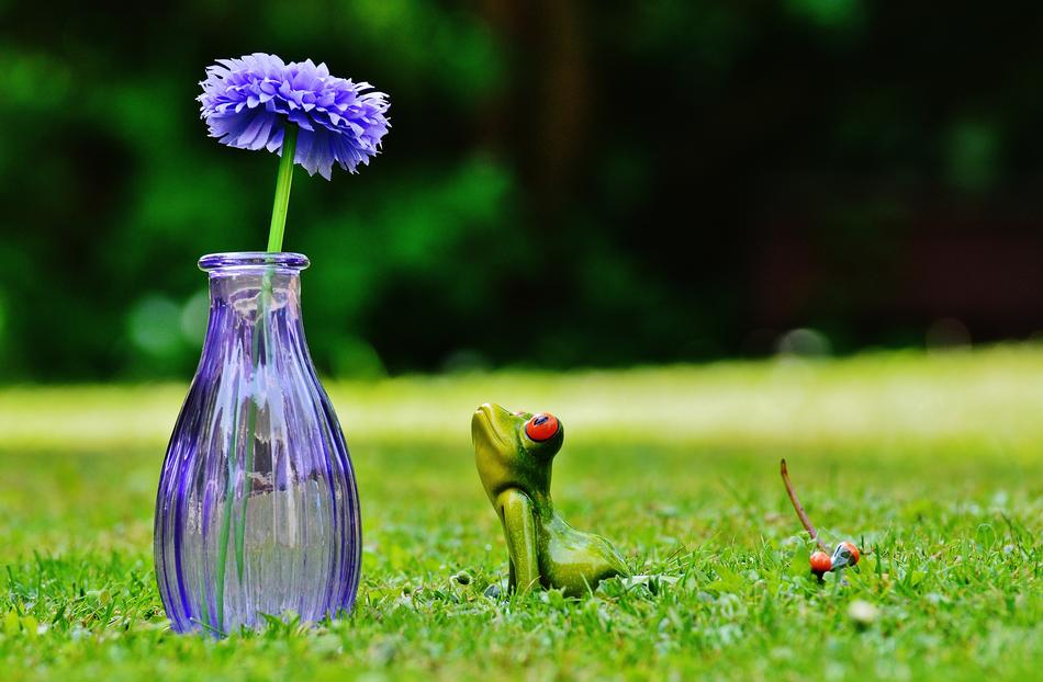Vase Flower Frog