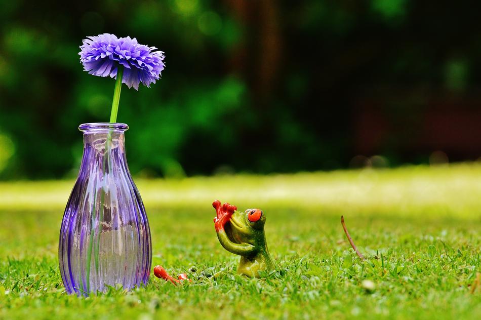 Vase Flower Frog