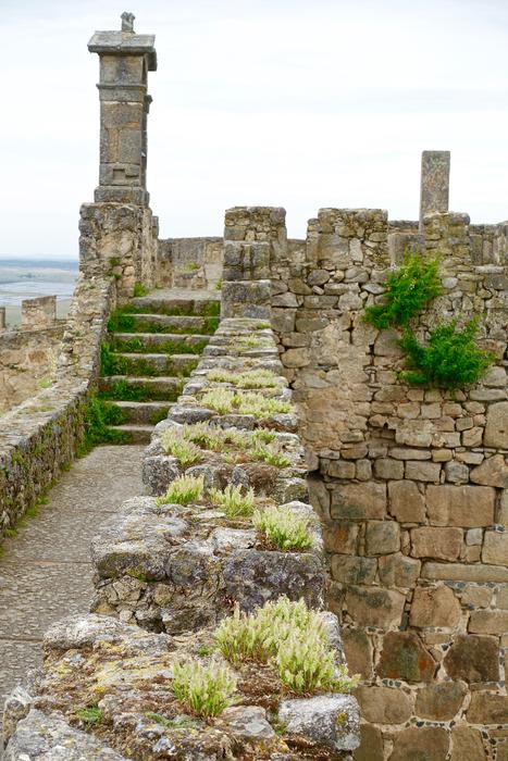 Wall Embattlement Weeds