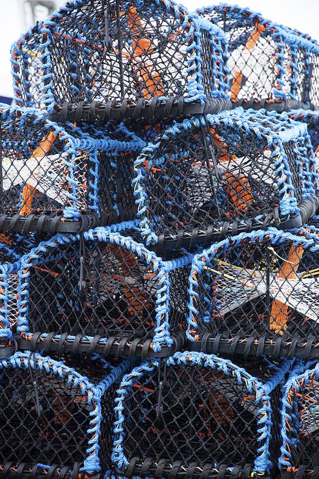 cages for catching crabs