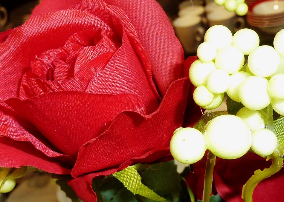 Rose Red Ste