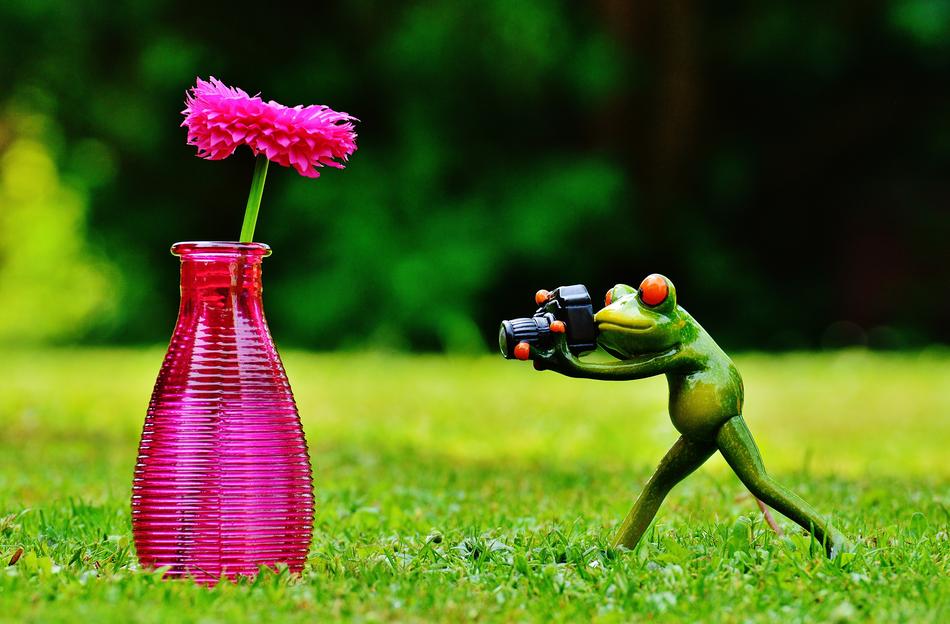 Vase Flower Frog