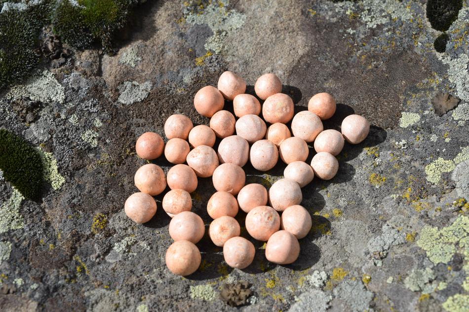 balls on a rock