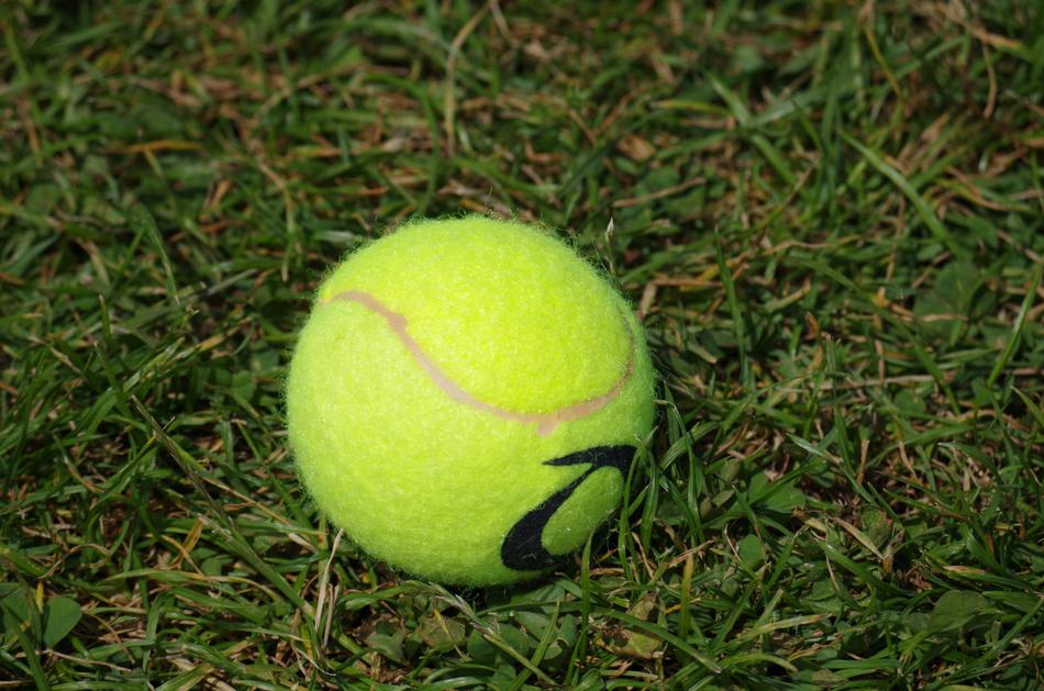 Tennis Ball Game