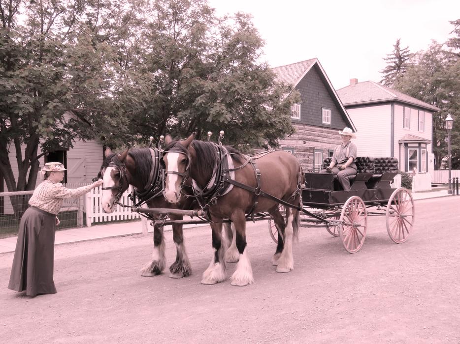 Horse Drawn Carriage Pioneer Wagon