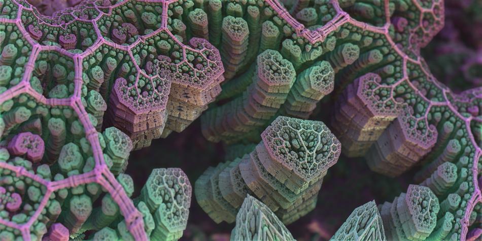 close up color spores