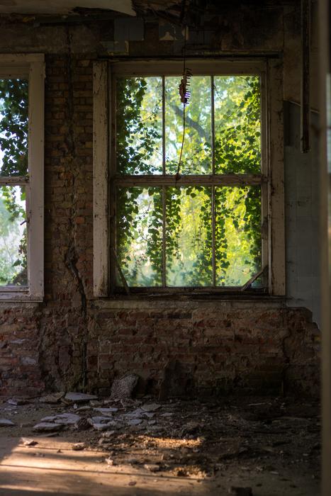 Window Overgrown Abandoned