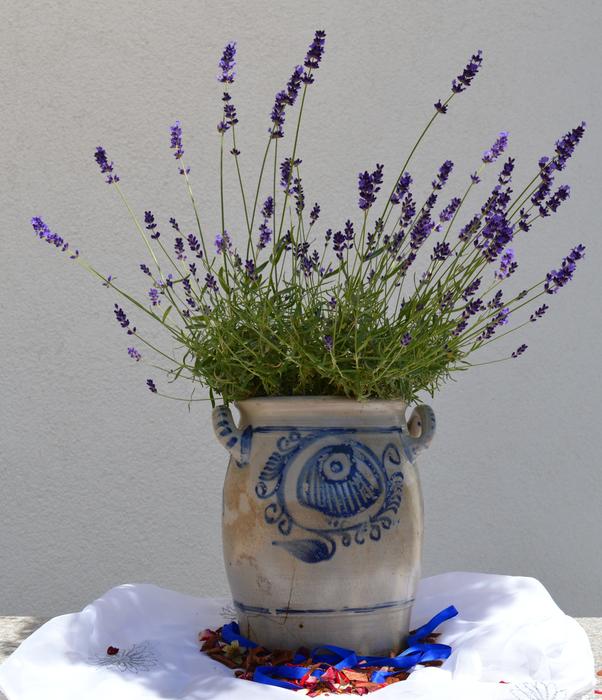 flowers in a beautiful vase