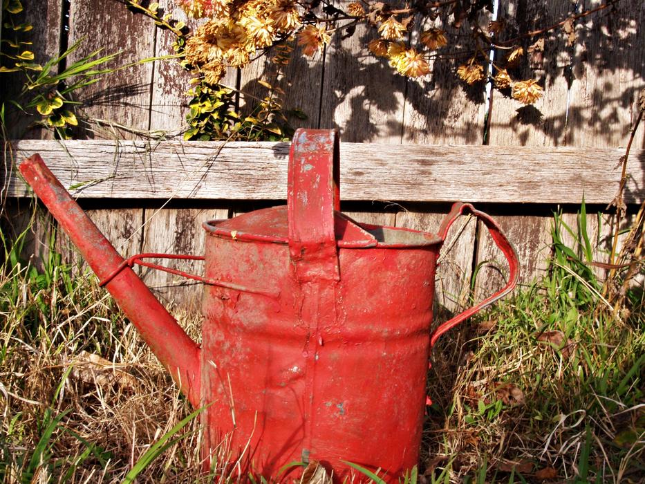 Watering Can Red Old