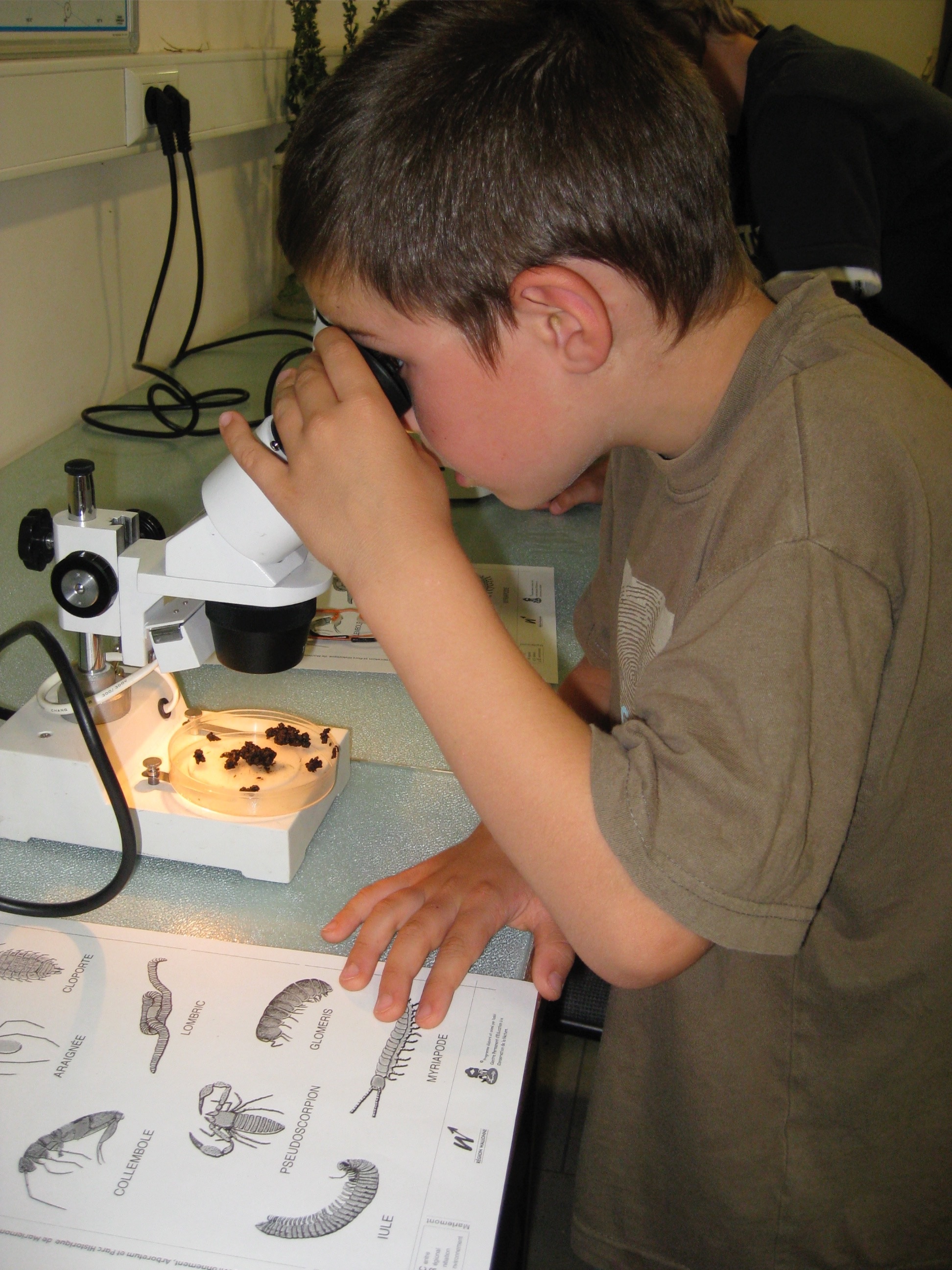 Children Activities Microscope free image download