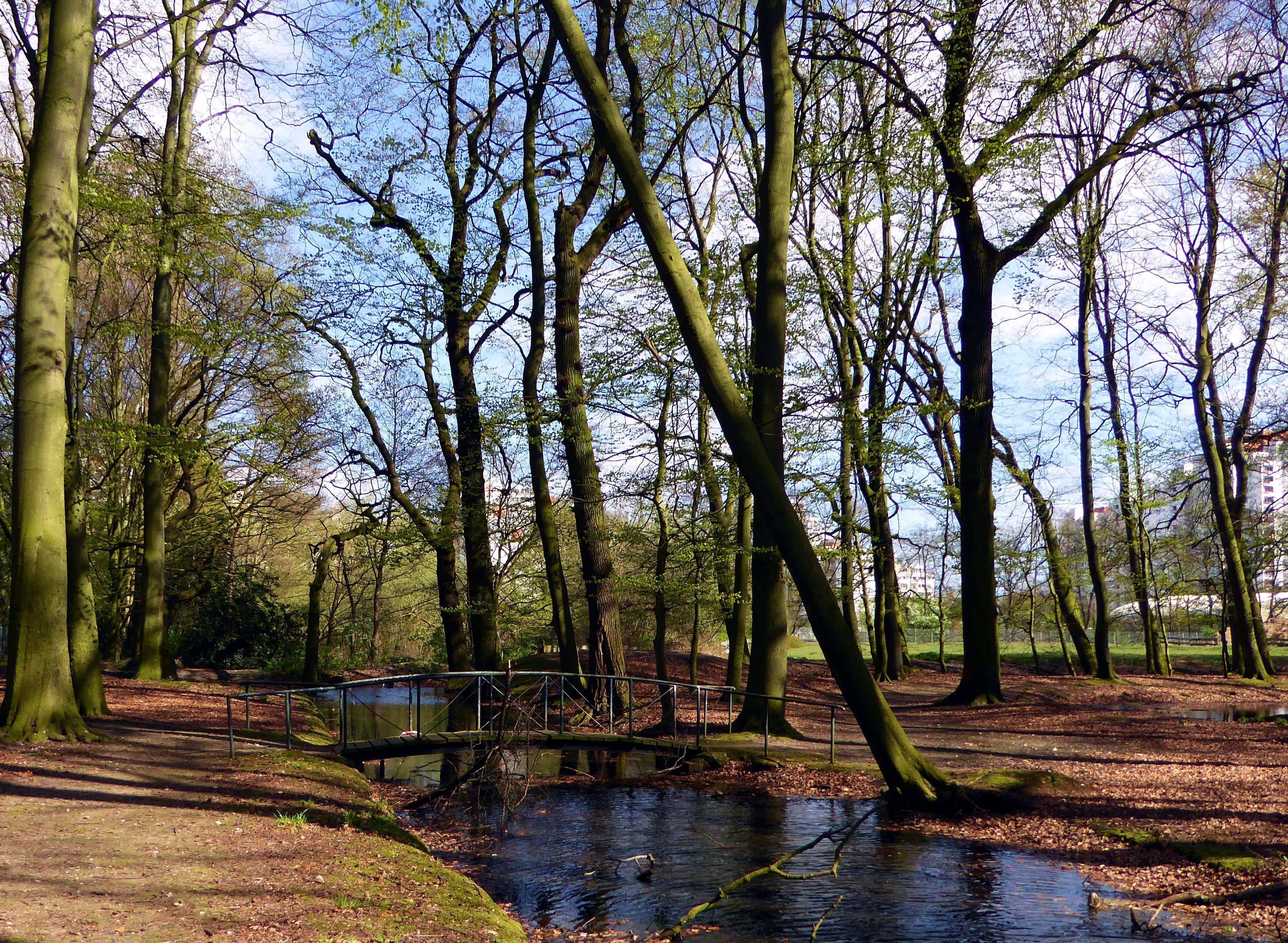 Spring creek. Спринг крик парк. Парк весной.