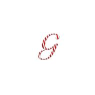 colored letter g italic