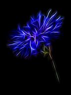 flower artwork art blue artistic