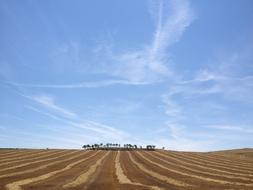 empty field under the sky