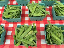 Farmers Market Snap Pod