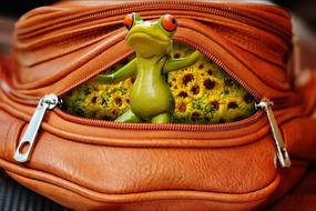 funny frog in a bag