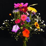 bouquet of colored flowers in a vase