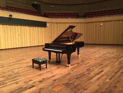 piano in the room