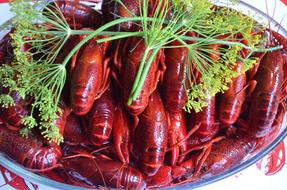 Boiled crabs with dill