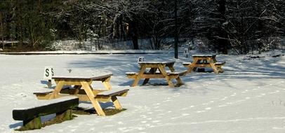 Picnic Tables Winter
