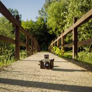 wooden bridge camera