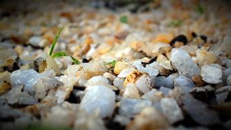 Quartz Glass Crystals