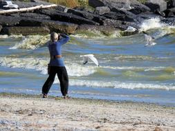 Photographer Waves Seagull