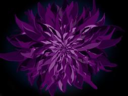 purple flower abstract digital art