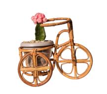 small figure of a bicycle with a flower