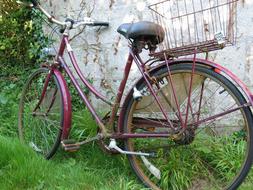 Bicycle Bike Garden