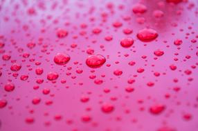 raindrops on the pink roof