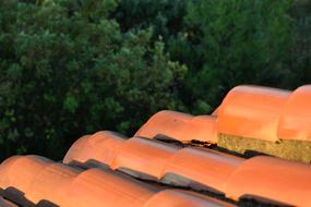 Close up of the roof against a background of trees
