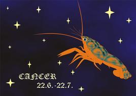 Funny picture of the cancer zodiac